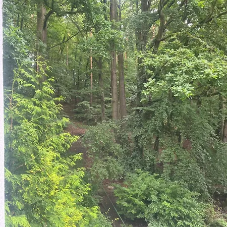 Przylesie Apartamento Sopot