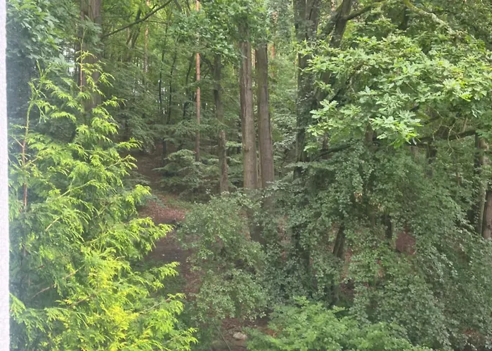 Przylesie Apartamento Sopot